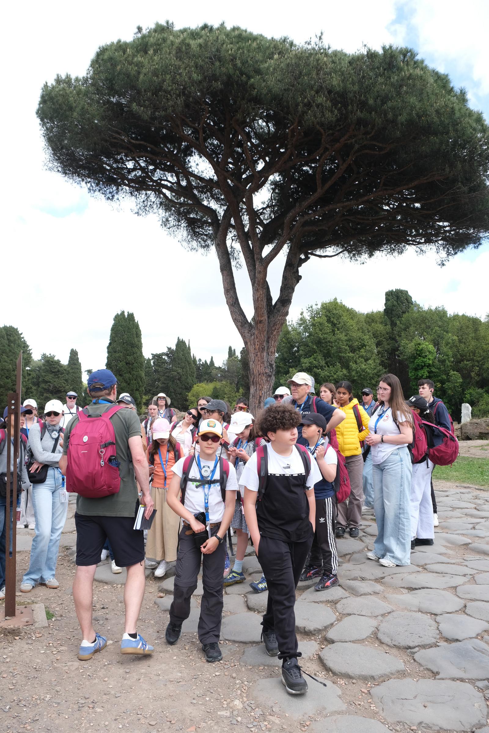 dscf5065.jpg